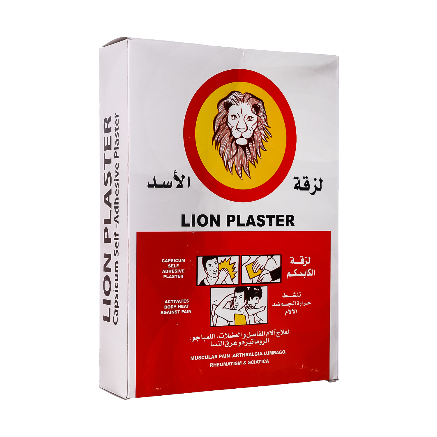 lions plaster